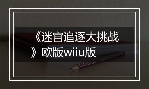 《迷宫追逐大挑战》欧版wiiu版