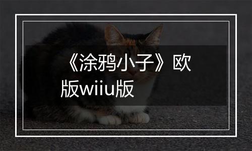 《涂鸦小子》欧版wiiu版