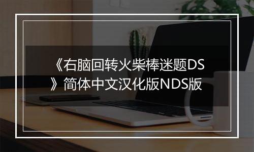 《右脑回转火柴棒迷题DS》简体中文汉化版NDS版