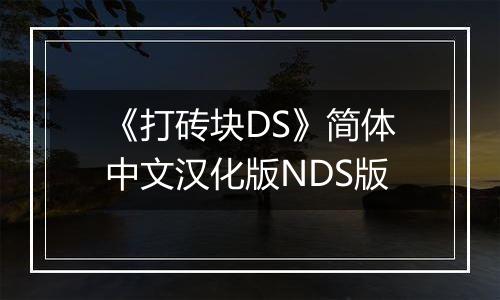 《打砖块DS》简体中文汉化版NDS版