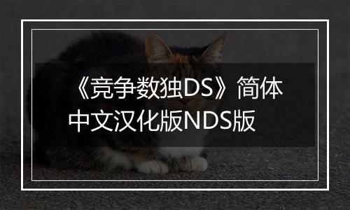 《竞争数独DS》简体中文汉化版NDS版