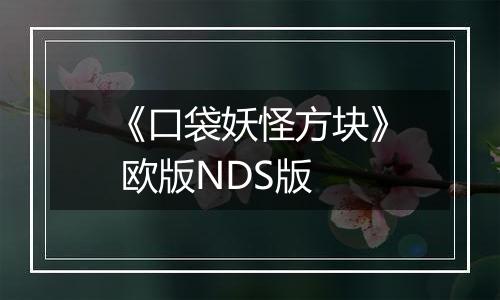 《口袋妖怪方块》 欧版NDS版