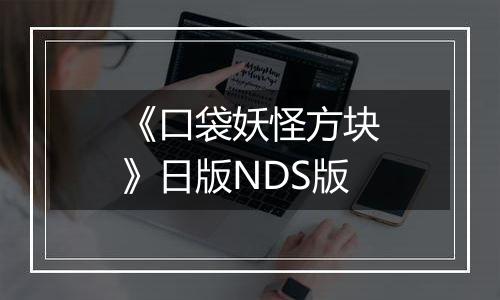 《口袋妖怪方块》日版NDS版