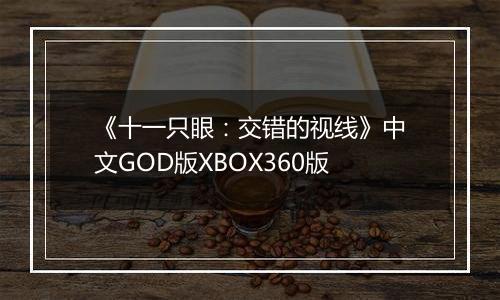 《十一只眼：交错的视线》中文GOD版XBOX360版