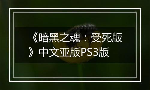《暗黑之魂：受死版》中文亚版PS3版