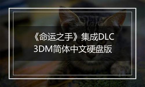 《命运之手》集成DLC 3DM简体中文硬盘版