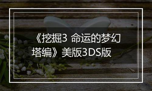 《挖掘3 命运的梦幻塔编》美版3DS版