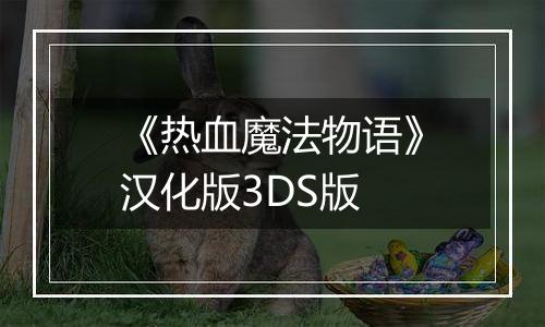 《热血魔法物语》汉化版3DS版