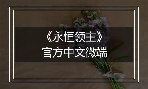 《永恒领主》官方中文微端