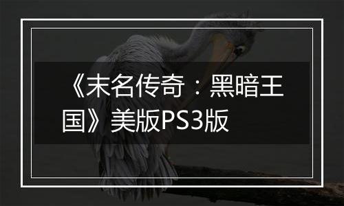 《末名传奇：黑暗王国》美版PS3版