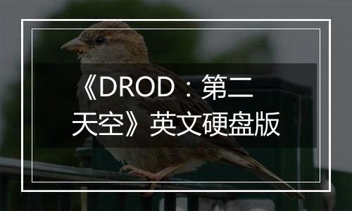 《DROD：第二天空》英文硬盘版