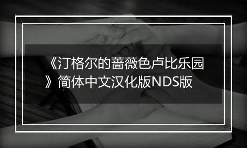 《汀格尔的蔷薇色卢比乐园》简体中文汉化版NDS版