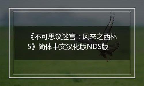 《不可思议迷宫：风来之西林5》简体中文汉化版NDS版