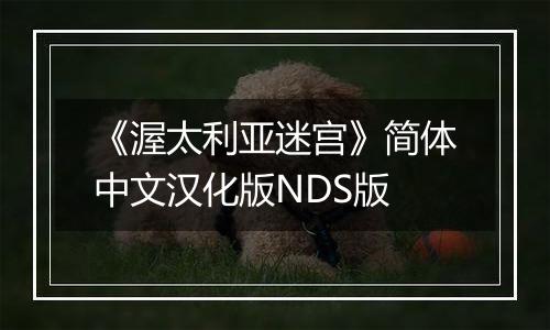 《渥太利亚迷宫》简体中文汉化版NDS版