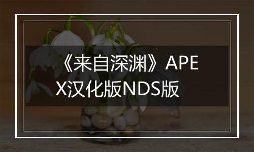 《来自深渊》APEX汉化版NDS版