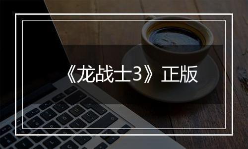 《龙战士3》正版