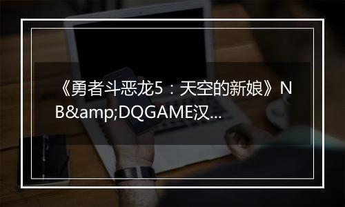 《勇者斗恶龙5：天空的新娘》NB&DQGAME汉化版NDS版