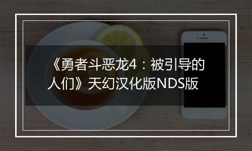 《勇者斗恶龙4：被引导的人们》天幻汉化版NDS版