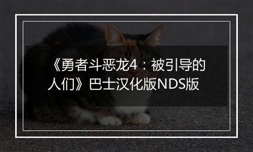 《勇者斗恶龙4：被引导的人们》巴士汉化版NDS版