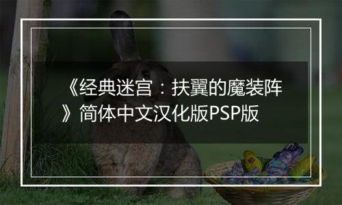 《经典迷宫：扶翼的魔装阵》简体中文汉化版PSP版