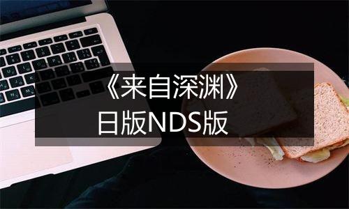 《来自深渊》 日版NDS版