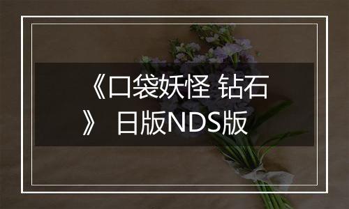 《口袋妖怪 钻石》 日版NDS版