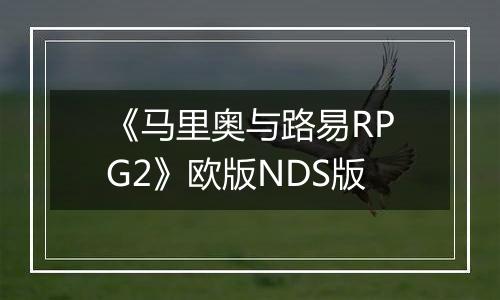 《马里奥与路易RPG2》欧版NDS版