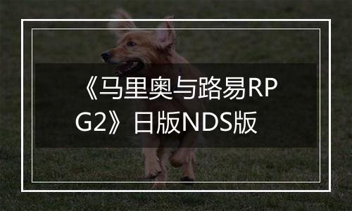 《马里奥与路易RPG2》日版NDS版