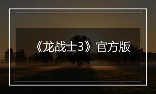 《龙战士3》官方版