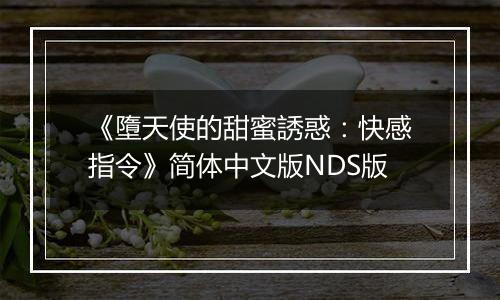 《墮天使的甜蜜誘惑：快感指令》简体中文版NDS版