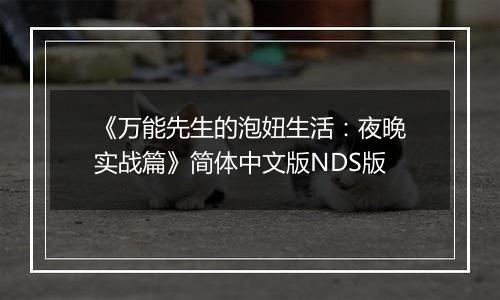 《万能先生的泡妞生活：夜晚实战篇》简体中文版NDS版