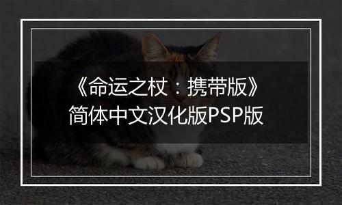 《命运之杖：携带版》 简体中文汉化版PSP版