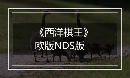 《西洋棋王》 欧版NDS版