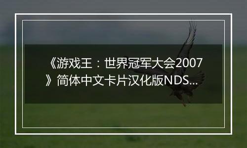 《游戏王：世界冠军大会2007》简体中文卡片汉化版NDS版