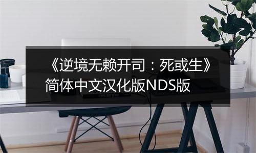 《逆境无赖开司：死或生》简体中文汉化版NDS版