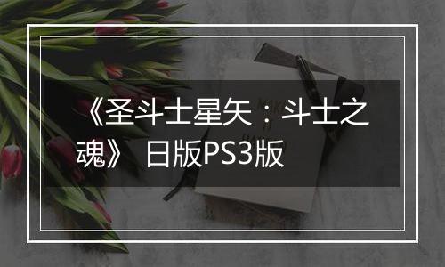 《圣斗士星矢：斗士之魂》 日版PS3版