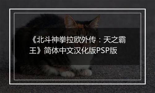《北斗神拳拉欧外传：天之霸王》简体中文汉化版PSP版