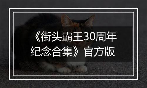 《街头霸王30周年纪念合集》官方版