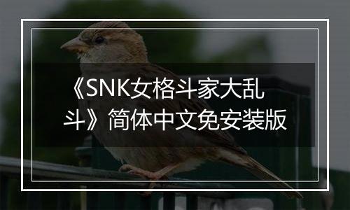《SNK女格斗家大乱斗》简体中文免安装版