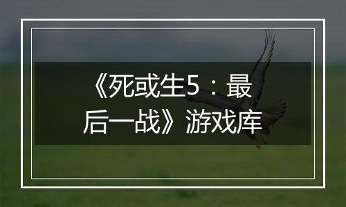 《死或生5：最后一战》游戏库