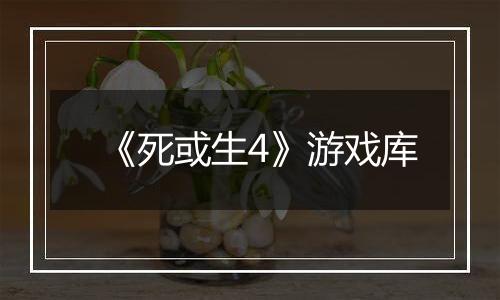 《死或生4》游戏库