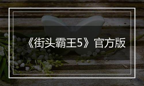 《街头霸王5》官方版