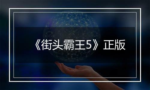 《街头霸王5》正版