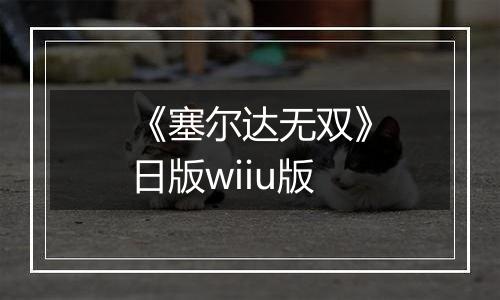 《塞尔达无双》日版wiiu版