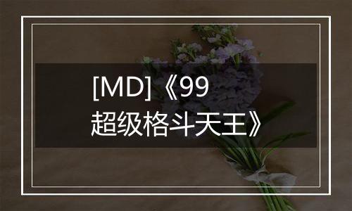 [MD]《99超级格斗天王》