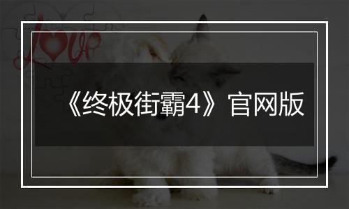 《终极街霸4》官网版