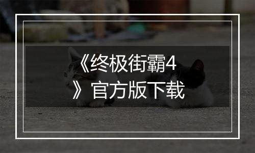 《终极街霸4》官方版下载