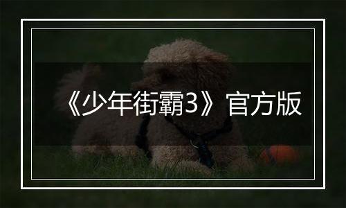 《少年街霸3》官方版