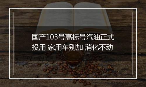 国产103号高标号汽油正式投用 家用车别加 消化不动