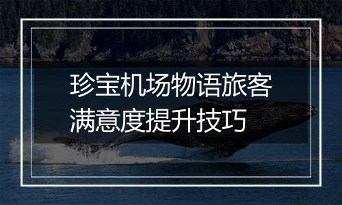 珍宝机场物语旅客满意度提升技巧